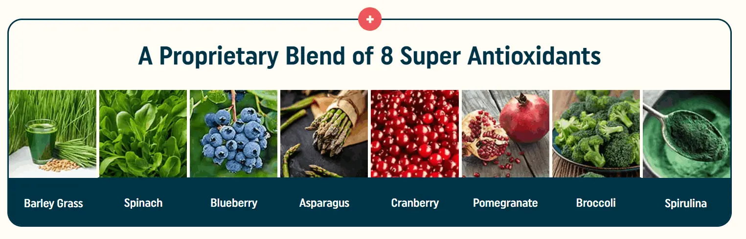 Nagano Lean body Tonic